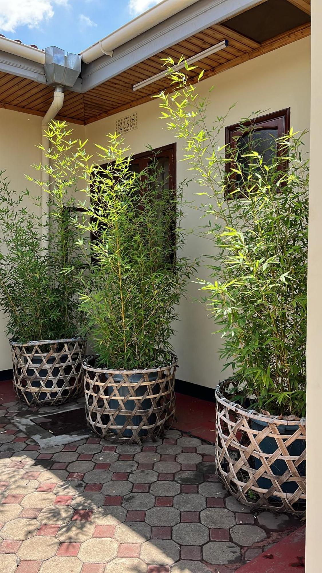 Stasumo House Arusha Bed & Breakfast Luaran gambar